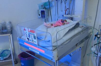 Mueren dos recién nacidos por brote de Klebsiella en Hospital de Ciudad Valles, SLP