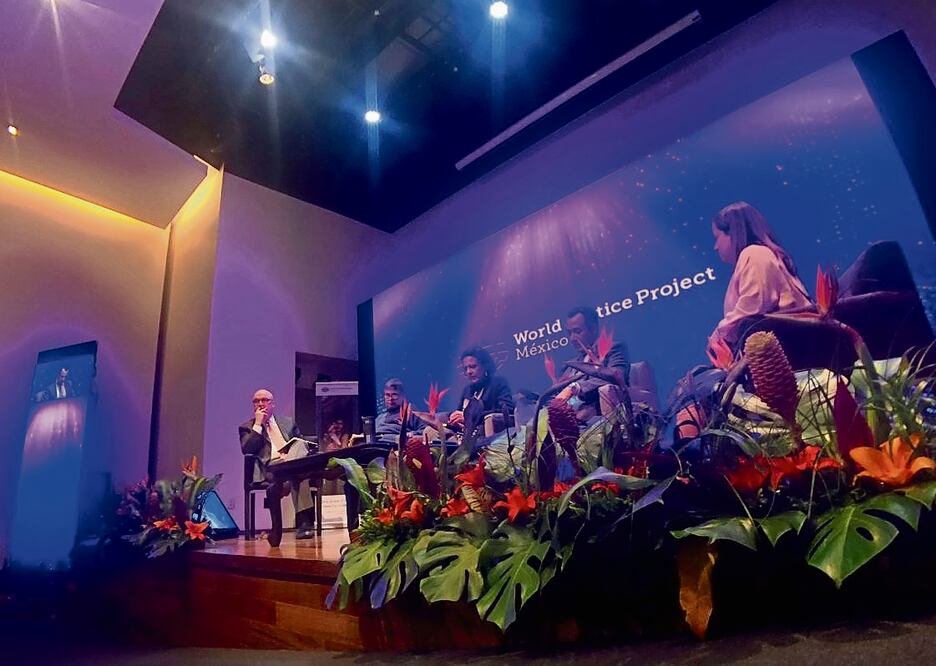 La organización World Justice Project considera que el Estado de derecho se manifiesta en el acceso de los ciudadanos a la salud, trato igualitario, justicia, seguridad pública y la libre expresión.