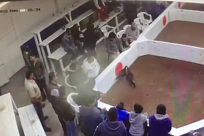 Balacera en palenque deja seis muertos en Chihuahua