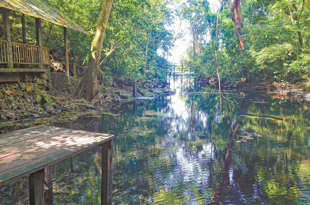 Ejidatarios resaltaron el aporte en agua limpia y oxígeno que la Reserva de la Biosfera Los Tuxtlas tiene para la zona, enclavada en la selva veracruzana. Fotos/ESPECIAL