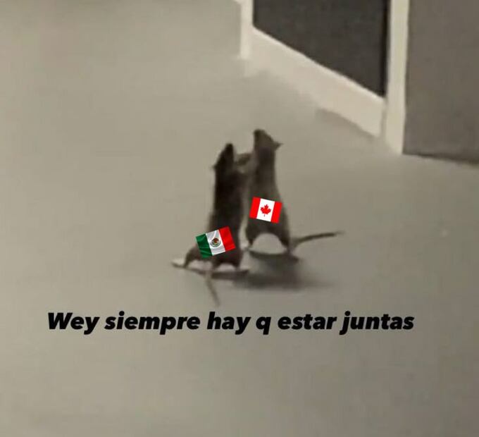 En medio de la tensión económica y política que desató la imposición de aranceles, una respuesta curiosa emergió en las redes sociales: los memes. 
Foto: Captura de pantalla en X