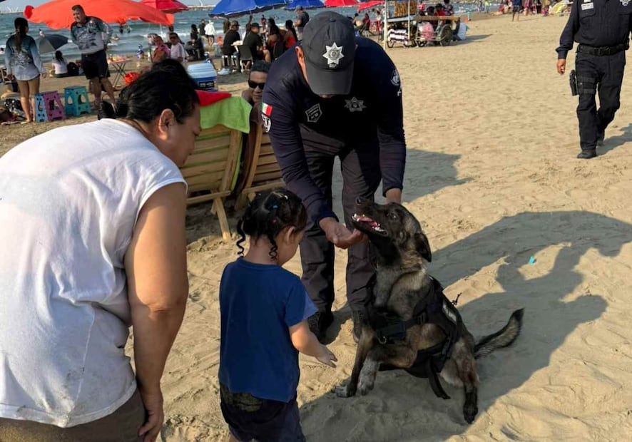 También participará la Estación Naval de Búsqueda, Rescate y Vigilancia Marítima (ENSAR) de Veracruz. Foto: Especial
