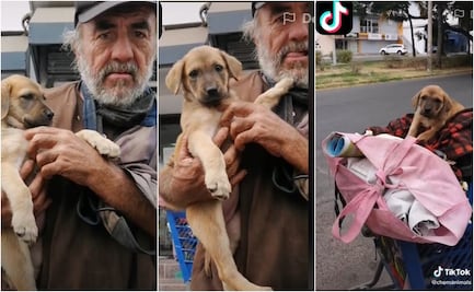 Buscan en Sinaloa a perrita que le quitaron a un hombre en situación de calle