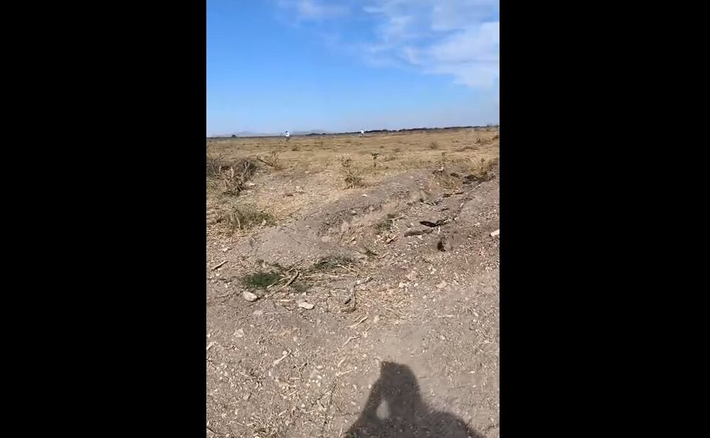 Foto: Captura de pantalla