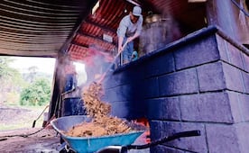 Impulsan la Ruta del Mezcal y la Flor