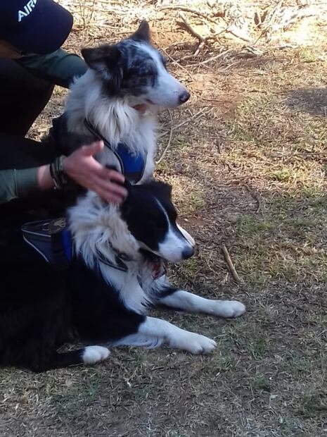 Se cumplen cinco días de la desaparición de un seminarista en Michoacán