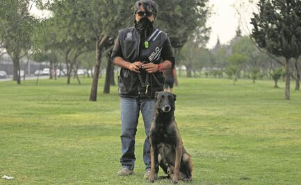 Adiestramiento canino: el hobby que lo salva en pandemia