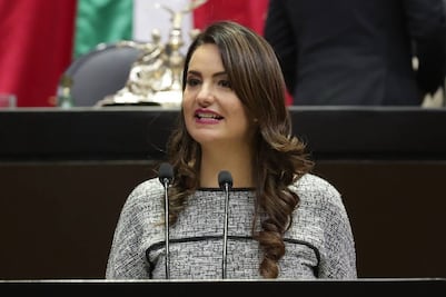 PAN propone reformas para incorporar la agresión sexual como violencia familiar