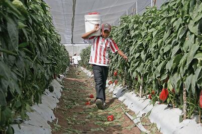 Propone PRD edad mínima para trabajar  