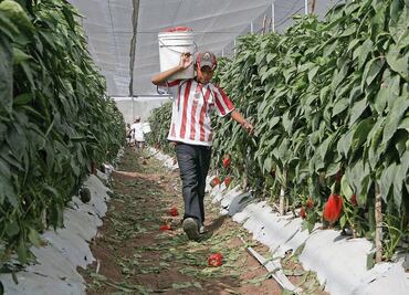 Propone PRD edad mínima para trabajar