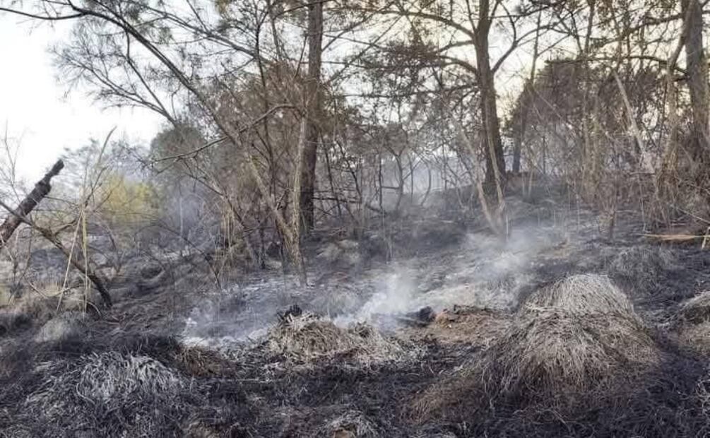 Incendio forestal en Oaxaca deja un fallecido. Foto: Especial