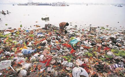 Heidegger y la degradación del ambiente