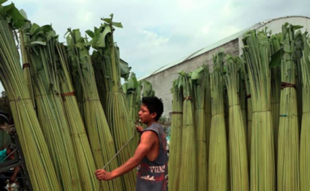 5 cosas que no conocías de la Central de Abasto