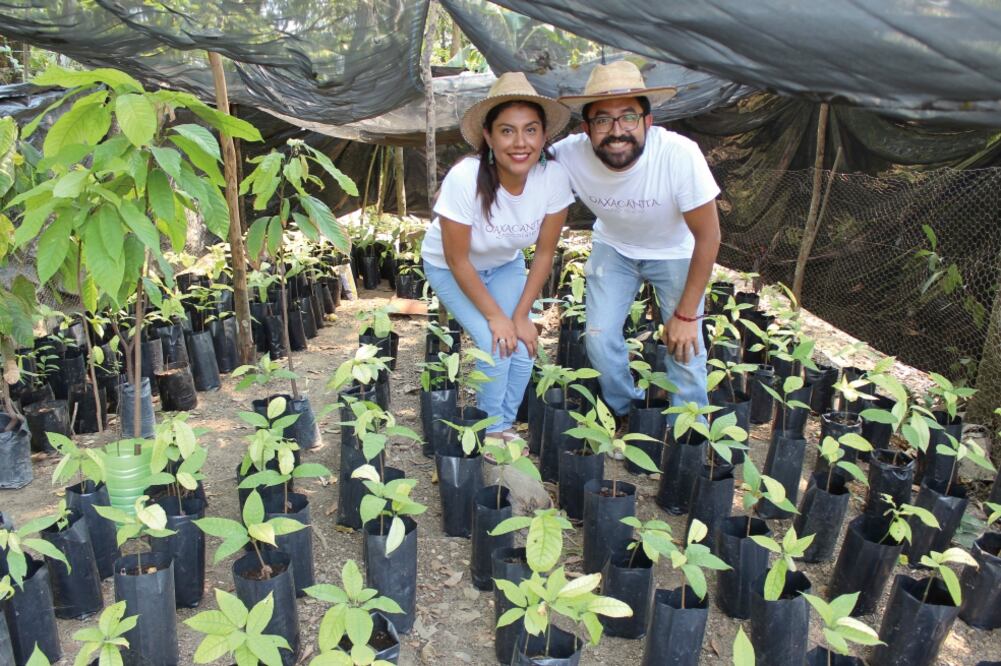 Germán Santillán y Ruth Valladares son dueños de Oaxacanita, donde se fabrica el chocolate de manera artesanal y dan trabajo a pobladores de la región de la Mixteca. (Fotos: EDWIN HERNÁNDEZ)