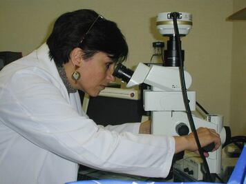 Aleja cultura machista a las mujeres de los trabajos de ciencia 