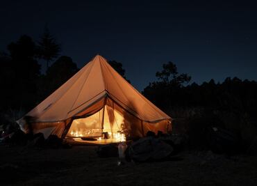 Lunada en el bosque para conectar con la naturaleza y calmar tu mente