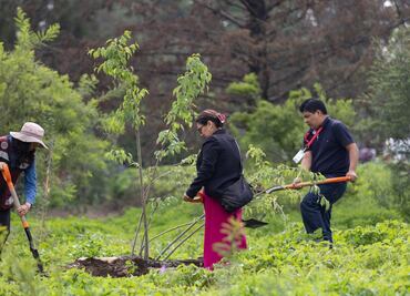 Inicia reforestación en el Cerro de la Estrella; plantarán 16 mil ejemplares nativos en Iztapalapa