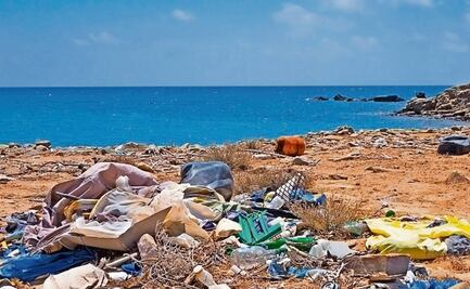 Convocan a gran limpieza global por 50 años del "Día de la Tierra"