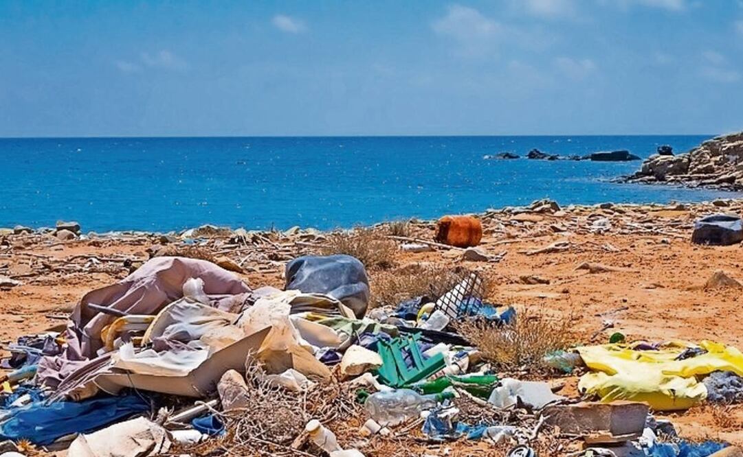 Foto: Archivo EL UNIVERSAL 