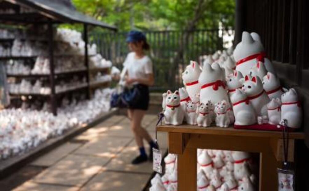 Templo de "gatos de la suerte" en Tokio atrae a 'instagramers' 