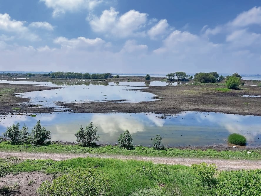 Laguna de Zumpango muestra recuperación, tras las lluvias. Foto: EL UNIVERSAL