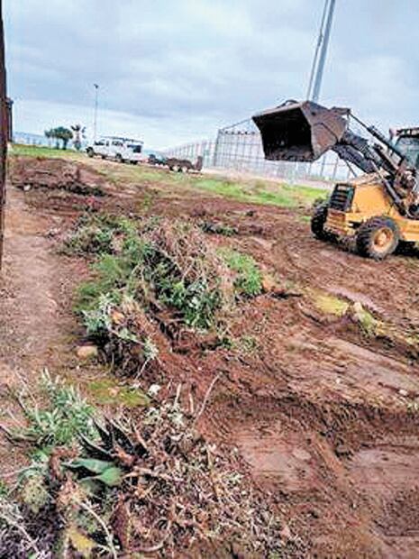 Patrulla Fronteriza destruye jardín binacional en Baja California
