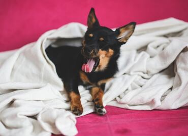 ¿A qué hora hará más frío hoy, 9 de diciembre de 2021?