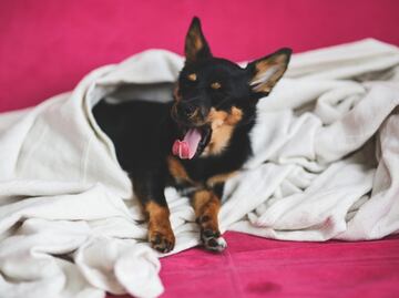 ¿A qué hora hará más frío hoy, 9 de diciembre de 2021?