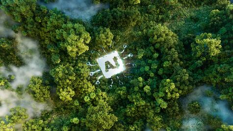 Inteligencia Artificial (IA) contra el Cambio Climático