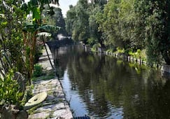 Alcaldes de Iztapalapa y Coyoacán aseguran que Canal Nacional quedará totalmente rehabilitado antes del Mundial; supervisan trabajos