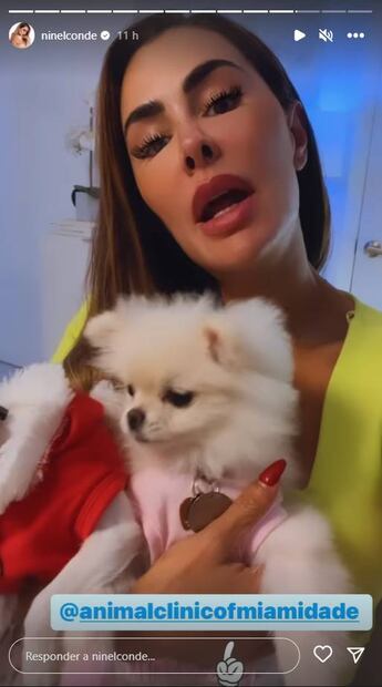 ¿Qué le pasa al rostro de Ninel Conde?, los filtros no la favorecen