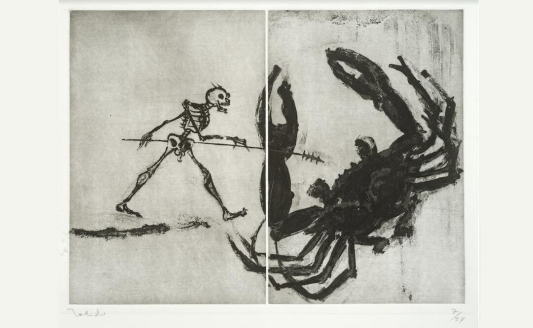 La obra de Francisco Toledo será expuesta en el American University Museum. Foto: Cortesía Prensa Toledo