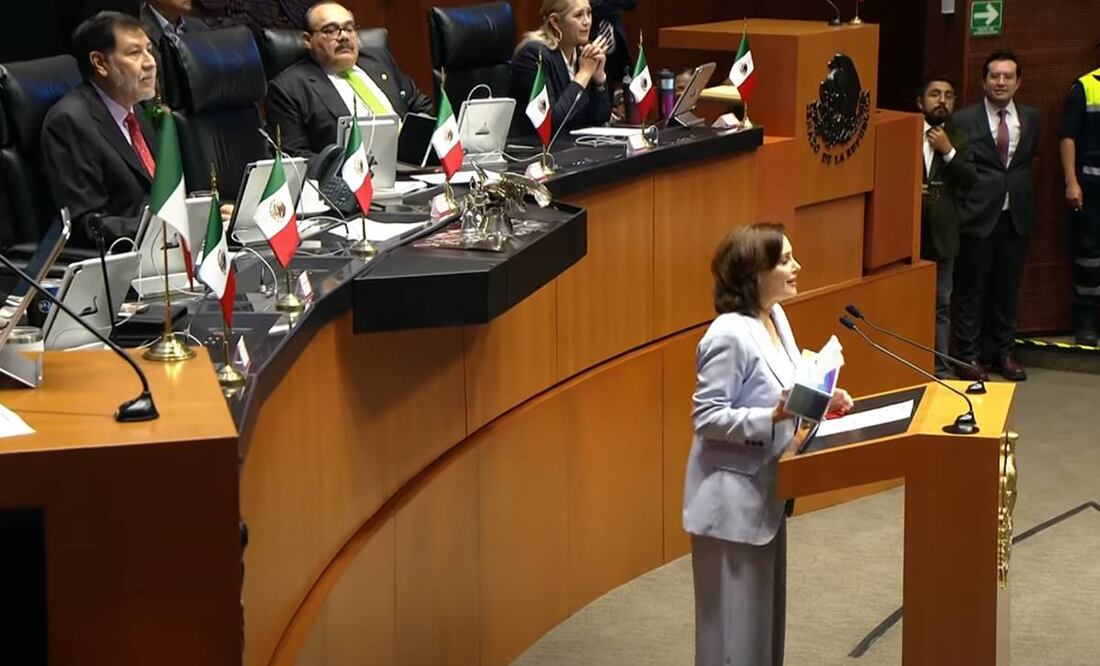 La senadora Lilly Téllez pide informar sobre las acciones jurídicas interpuestas contra un ciudadano por Fernández Noroña este 24 de septiembre del 2024. Foto: Captura de pantalla