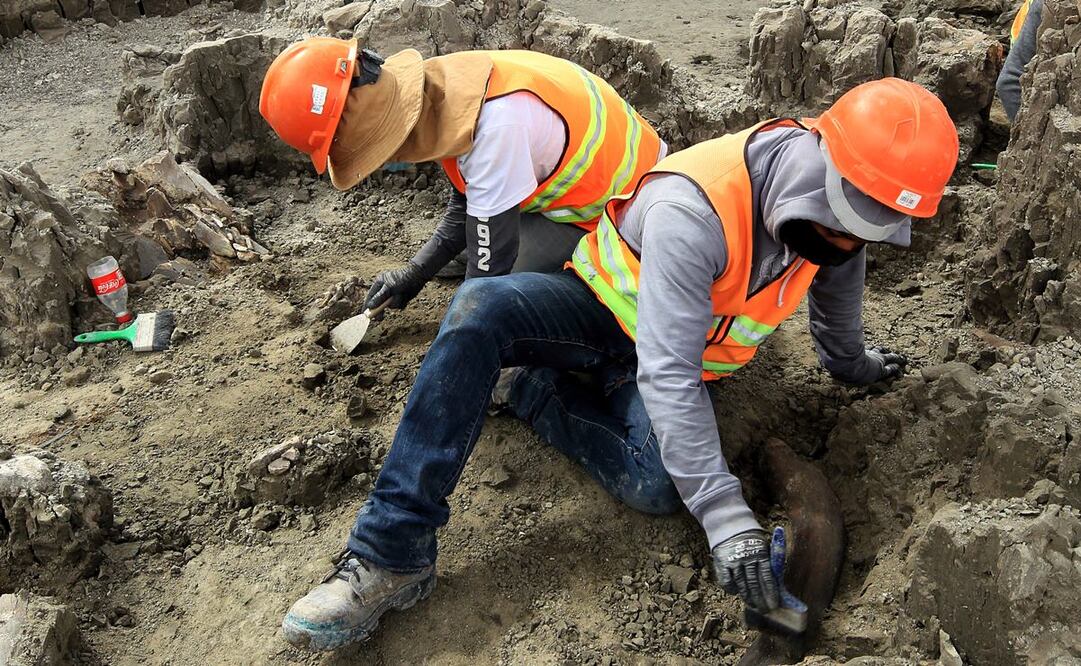 Cuando son descubiertos vestigios prehispánicos donde se construye el aeropuerto Felipe Ángeles se acordona el área y especialistas del INAH realizan la intervención, mientras las obras continúan en las zonas aledañas. Fotos: Cortesía del INAH. 