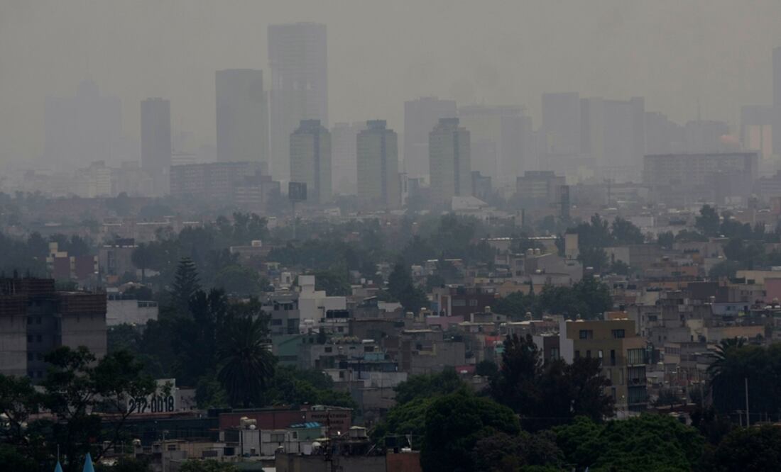 La diputada local de Morena, Ana Juana Ángeles Valencia, pidió al Jefe de Gobierno un informe detallado respecto al estado que guardan más de 81 mil industrias localizadas en las 16 delegaciones. Foto: Carlos Mejía/EL UNIVERSAL