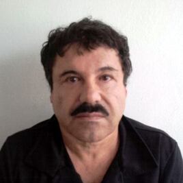 Siembra de coca en maletas