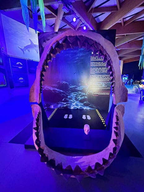 Foto: Omar Moreno/El Universal