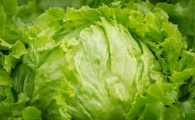 Empresa de verduras en California retira lechuga por posible vínculo con "diarrea explosiva", reportan; investigan casi 7 mil casos
