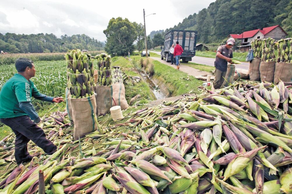 El Consejo Nacional Agropecuario expuso que no se quiere regresar al proteccionismo, sino que se busca que haya competencia leal. (ARCHIVO EL UNIVERSAL)