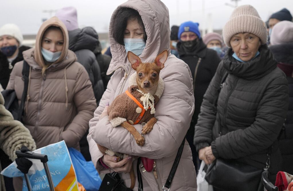 Foto: AP / Vadim Ghirda, archivo 
