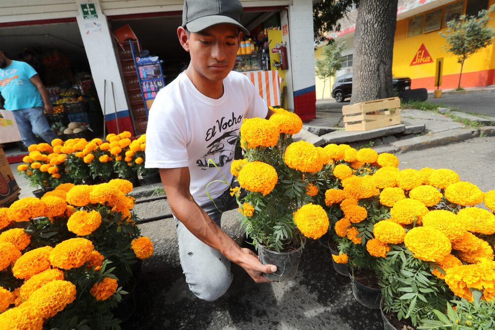 Floricultores del Estado de México, listos para temporada de exportación a EU. Foto: Jorge Alvarado / EL UNIVERSAL
