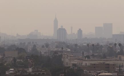 Declarar emergencia climática, medida "necesaria pero simbólica"