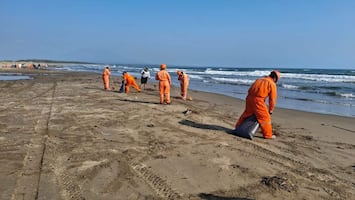Tras derrame, anuncian creación de Observatorio Permanente del Golfo de México; usará boyas oceanográficas y tecnología satelital