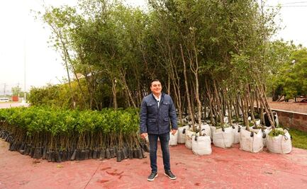 Anuncian en García, Nuevo León, entrega de 10 mil árboles con “Adopta Vida”; buscan impulsar reforestación urbana