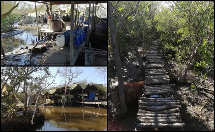 Localizan laboratorio clandestino de drogas sintéticas entre manglares en Navolato, Sinaloa