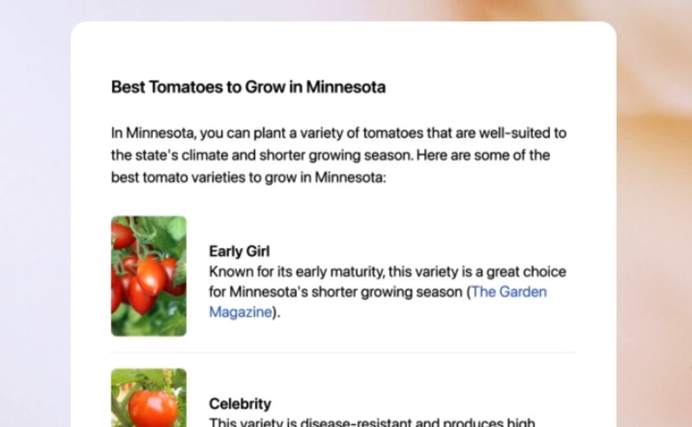 Imagen: captura de pantalla