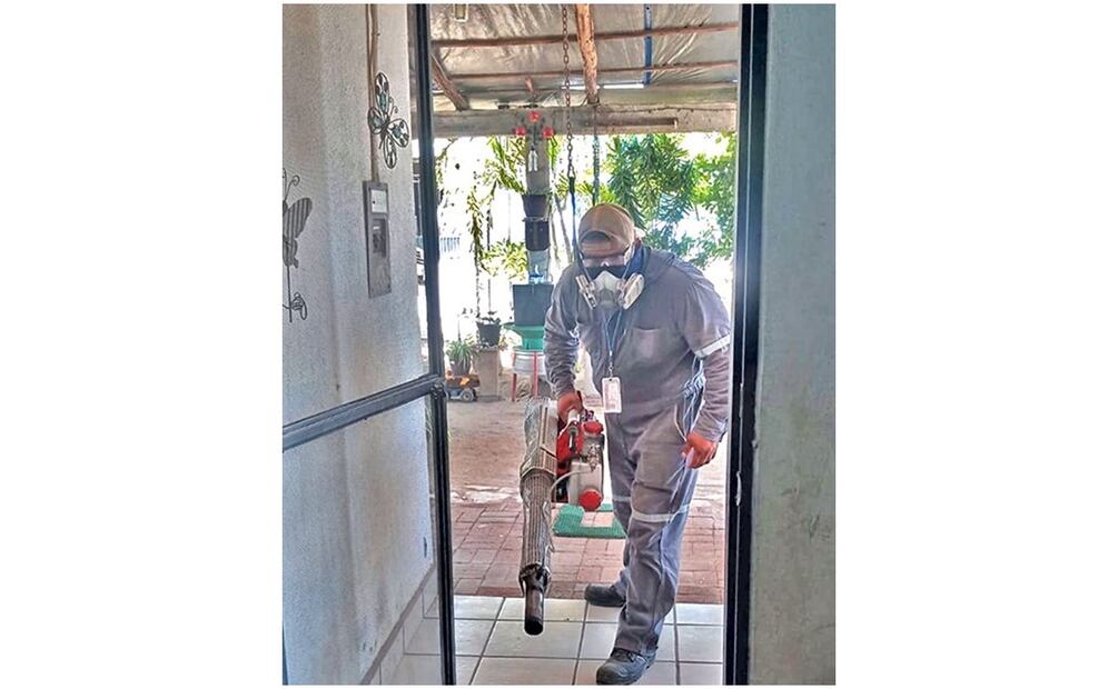 Arrancan operativos para atender diversas regiones de Baja California Sur por incremento de casos de dengue (11/10)2024). Foto: Especial