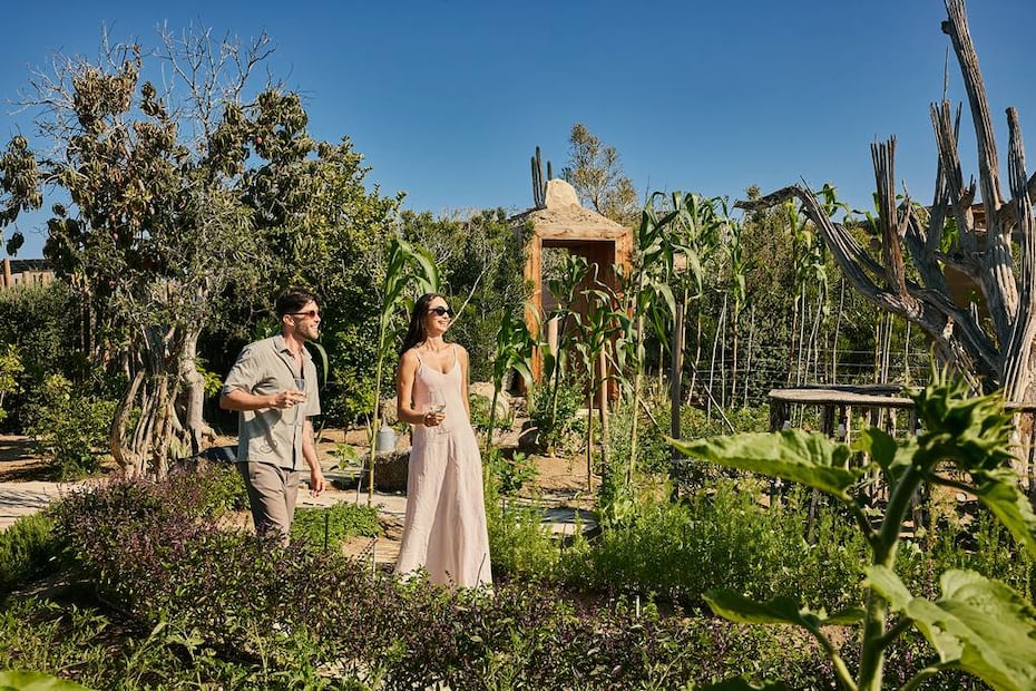 Foto: Pepe Molina. El Perdido