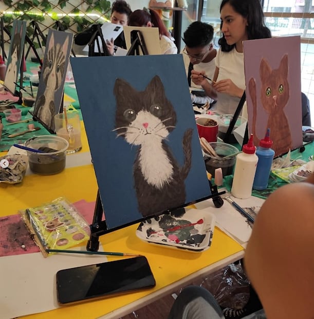 Meow Cat Café. Foto: Instagram