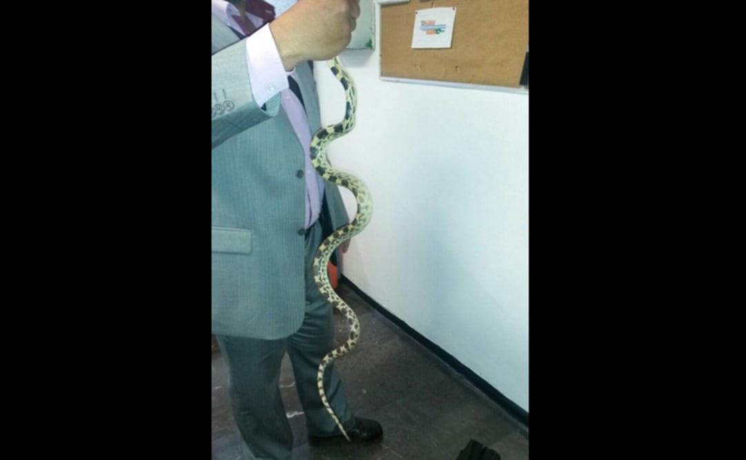 Tomada de @MetroCDMX